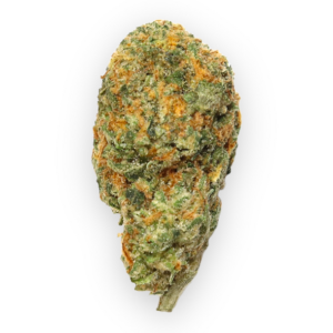 Buy Britscotti Online in Europe