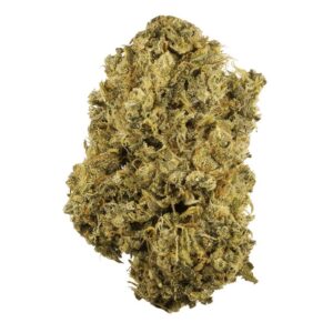 Buy Durban Poison Strain Online Europe