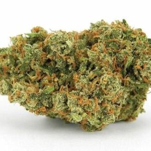 Buy Jack Herer Strain Online Europe