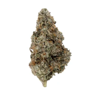 Buy Master Kush Strain Online Europe