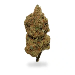 Buy White Rhino Strain Online Europe