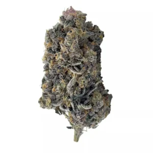 Buy Tropicana Cookies Strain Online Europe